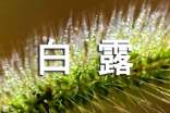 最美白露節(jié)氣詩詞(精選85首)