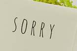 英文道歉信
