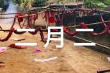 《二月二日》原文及翻譯賞析