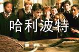 我和哈利波特過一天作文