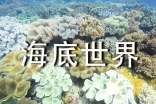 青島海底世界初中作文