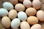 烹調(diào)雞蛋時(shí)常見(jiàn)的八大錯(cuò)誤