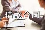 金融機(jī)構(gòu)借款合同6篇