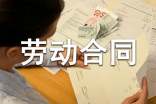 (精)勞動(dòng)合同范本