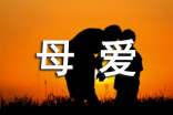 關(guān)于母愛的唯美句子
