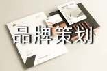 經(jīng)典品牌策劃書模板