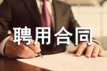人員聘用合同(15篇)