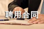 衛(wèi)生院編外專業(yè)技術(shù)人員聘用合同書(shū)