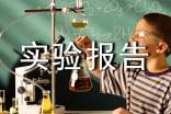 大物實(shí)驗(yàn)報告2篇