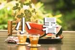 關(guān)于小暑節(jié)氣諺語