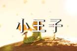 讀《小王子》有感800字