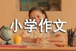 四季小學作文【薦】