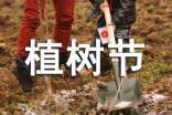 植樹節(jié)作文【精選】