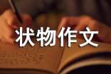蠶去哪兒了小學(xué)四年級(jí)狀物作文