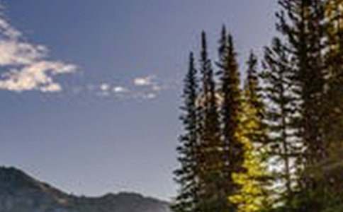 ����(y��u)�㣩���u���L(f��ng)������