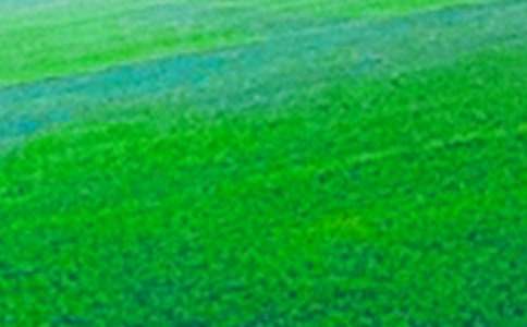 ���x��Ұ�L������300��4ƪ