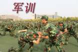 軍訓(xùn)心得體會(huì)范例(14篇)
