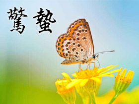 驚蟄祝福語(yǔ) 驚蟄祝福語(yǔ)