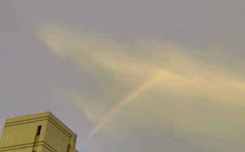 ����ɫ�ʺ硷�L���̰�