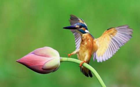 �����B���̰��O(sh��)Ӌ(j��)