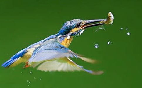 ���B(ni��o)���n��