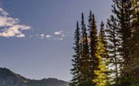 風(fēng)景優(yōu)美句子集錦98條