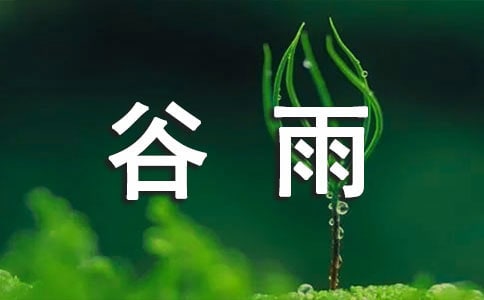 描寫谷雨下雨的優(yōu)美句子(精選200句)