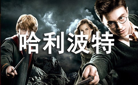 ���������x�������600��_�x���