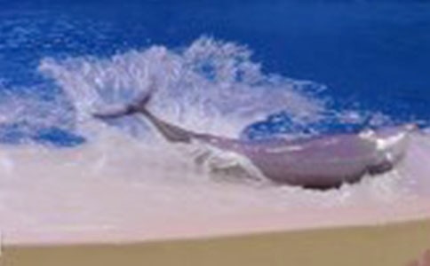 �{ɫ�ĺ����u�x��м���15ƪ