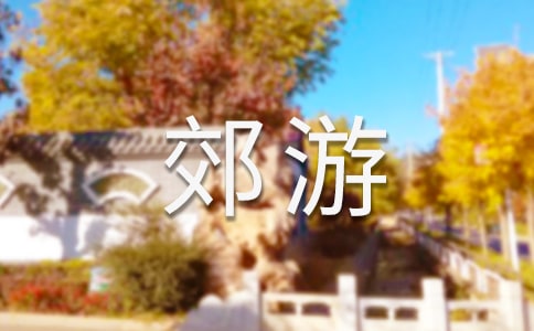 С�ཡ����ӡ�ȥ���Ρ��̰������x8ƪ��