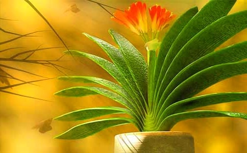 �^������m����(7ƪ)