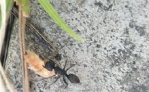 �茑Λρ������24ƪ