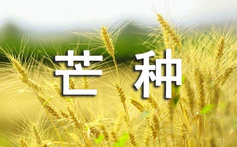 芒種節(jié)氣優(yōu)美句子(精選130句)