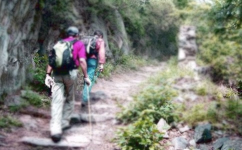 ��ɽ����ӛ300�֣�ͨ��33ƪ��