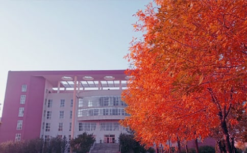 秋日原文翻譯及賞析(匯編15篇)