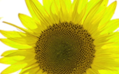 �������g(sh��)�����տ����n��