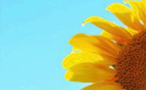 ���տ���Ψ������