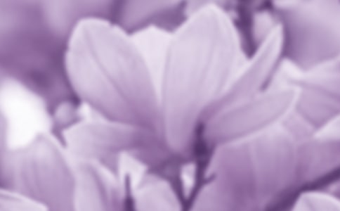 �茑�����m���ă�(y��u)������