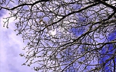 2020�ꌍ�õ��簲��������Z�19��