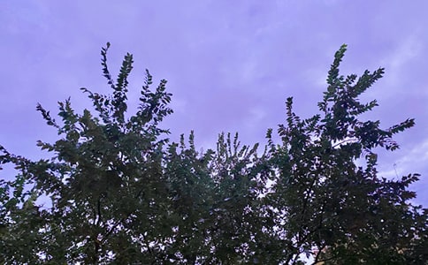 【熱門】早安共勉句子朋友圈23條