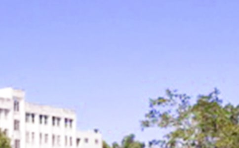 簡單的早安共勉句子微信41句