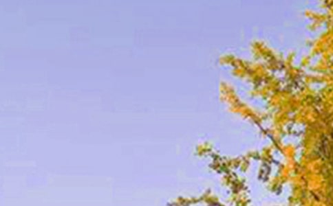 ����(sh��)�á�2021���簲������Ӵ󼯺�68��