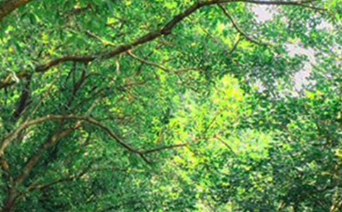 簡(jiǎn)單的早安共勉句子QQ集錦41句