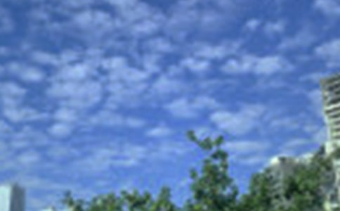 關(guān)于早安心語的優(yōu)美句子