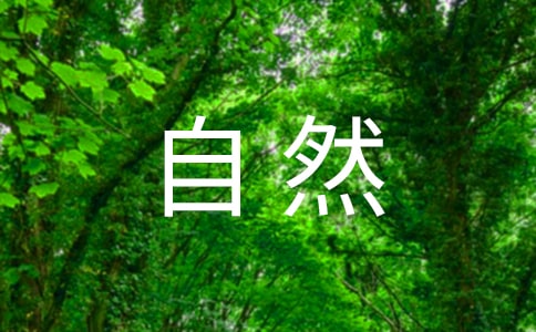 大班《保護(hù)自然環(huán)境》主題教案