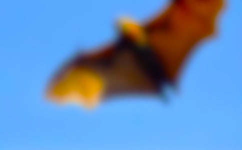 ��(sh��)�õ���������_(d��)�̰���ͨ��11ƪ��